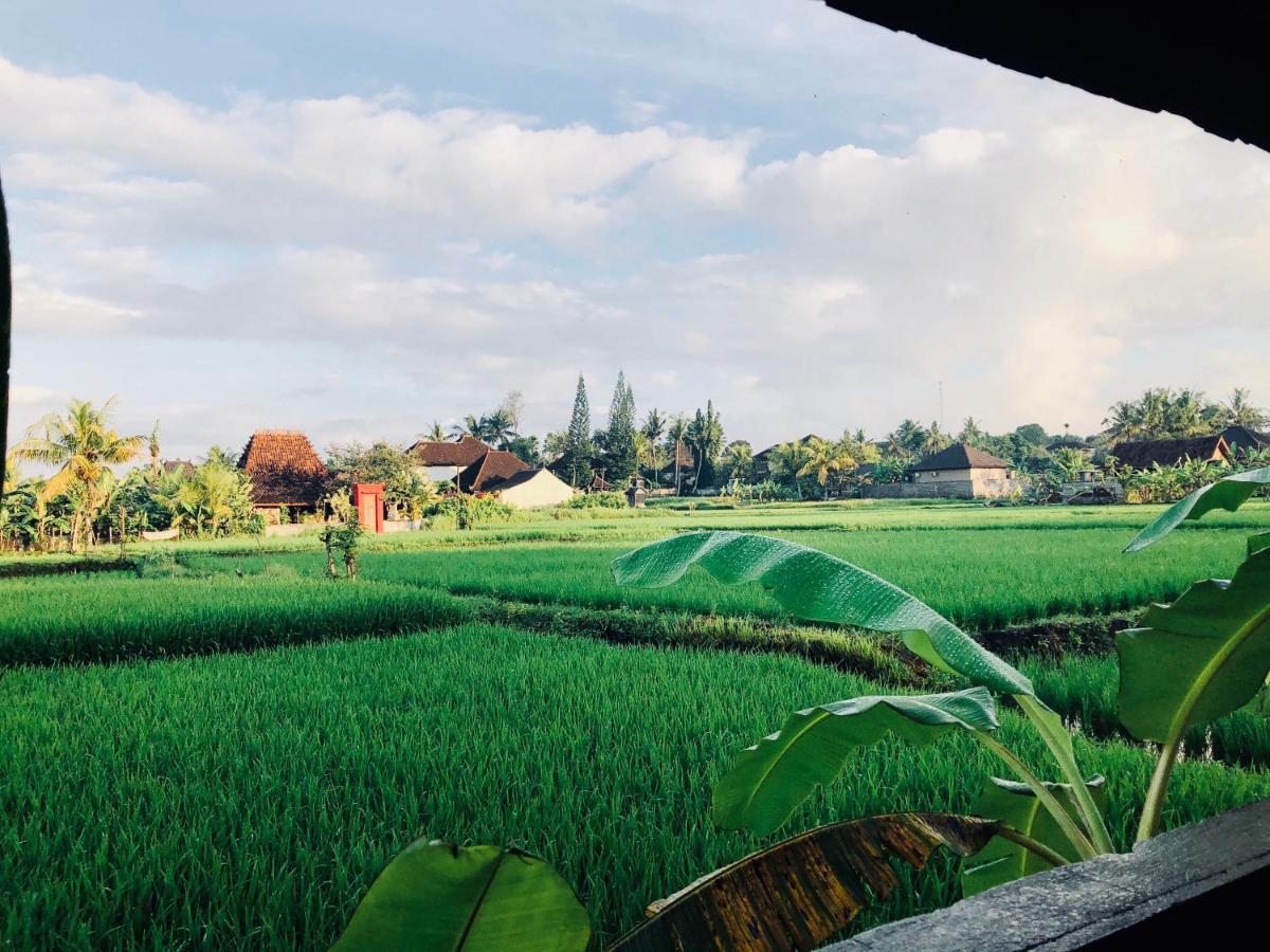 Umagama Villas Ubud  Exterior photo